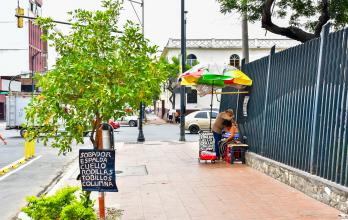 PARQUE LA VICTORIA GUAYAQUIL