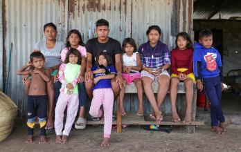 familias Pinto y Silva