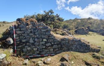 molleturo paredones