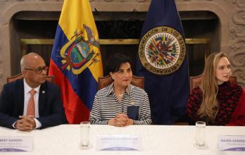 La iniciativa cuenta con el respaldo de los 33 países miembros del Consejo Permanente de la OEA.
