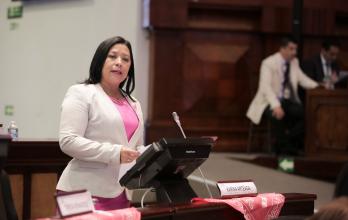 ASAMBLEISTA KARINA ARTEAGA