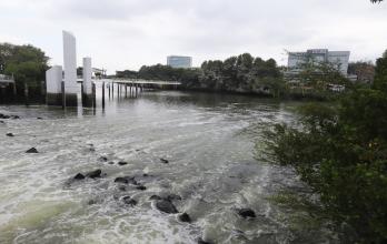 contaminacion guayaquil