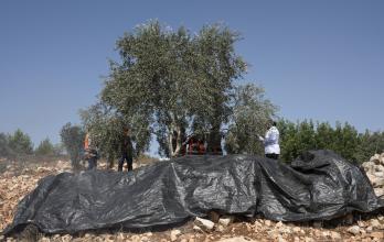 Mundo, Cisjordania ocupada, Israel, Ataques armados
