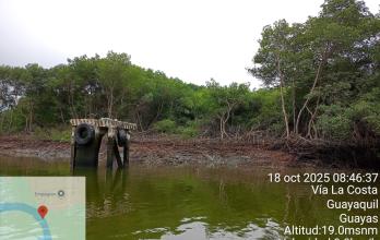 Manglar Puerto Hondo