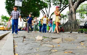 BALSOSAS O ADOQUINES (15448311)