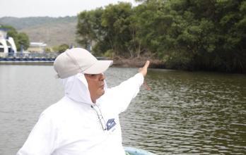 TALA DE MANGLE (15462849)