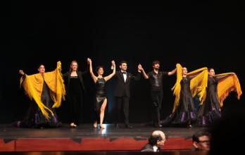 Turistas y habitantes disfrutan de música, danza y teatro durante el Festival de Artes Vivas 2025 en Loja.