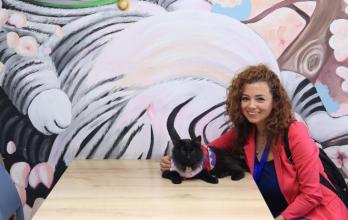 Maneki-cafeteria de gatos