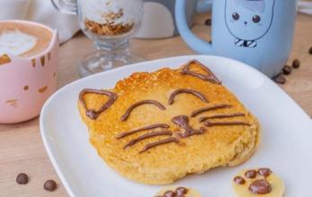 Maneki-cafeteria de gatos