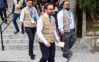 jefe de misión de la OEA