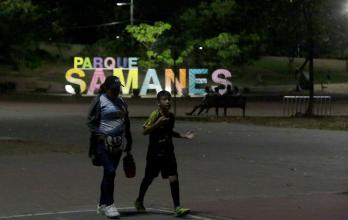 PARQUE SAMANES