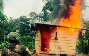 Según el Ejército, la afectación económica a las redes de minería ilegal asciende a 917.680 dólares.