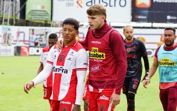 Técnico Universitario