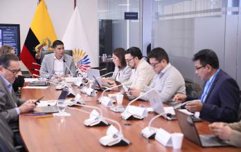 Jaime Estrada Comisión de Garantías Constitucionales