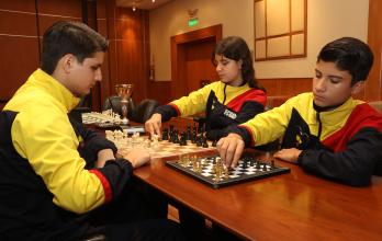 HERMANOS AJEDRECISTAS (15527173)