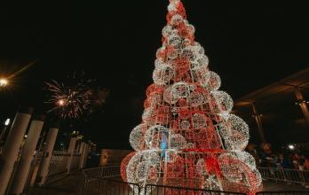 árbol navideño en el Malecón del Salado