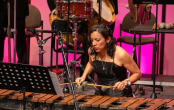 BANDA SINFÓNICA METROPOLITANA