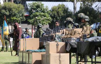 El Ejecutivo precisó que la presencia y cooperación internacional se desarrollarán bajo un esquema temporal.