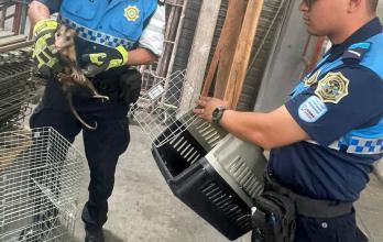 rescate animal guayaquil