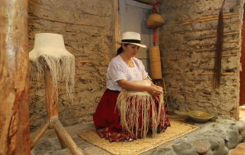 Foto de Sistema Grana (15626866)