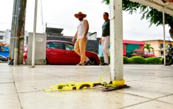 Asesinato en La Garzota