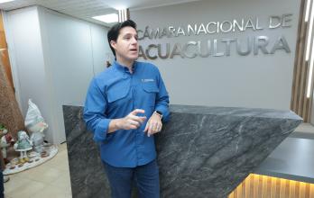 José Antonio Camposano