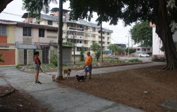 vecinos con mascotas en parque abandonado de La Saiba