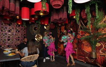 LA RUTA DEL DESPECHO