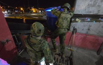 Los Lobos mantienen una estructura operativa consolidada en Los Ríos.