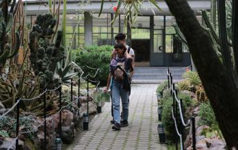 Jardín botánico de quito