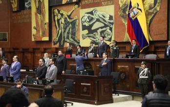 DIRECTIVA ASAMBLEA NACIONAL