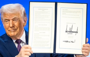 trump junta de la paz