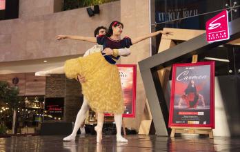 FESTIVAL DE BALLET SC (15773351)