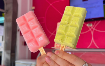 paleta