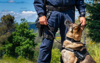 Incautacion de droga