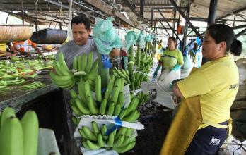 El punto de quiebre llegó en mayo de 2013, cuando el SRI embargó el predio por una deuda tributaria de alrededor de $90 millones.