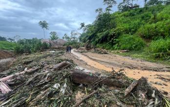 Habitantes afectados por el invierno perdieron cultivos y animales, mientras esperan ayuda y la rehabilitación de vías.