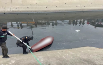 El extraño hallazgo se registró la mañana de este viernes 30 de enero