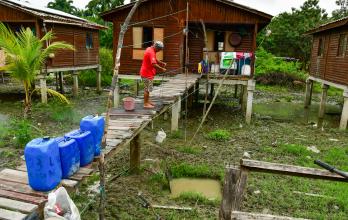 TURISMO EN LA ISLA SA (15801297)