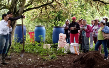 proyecto FARM  de la PNUD