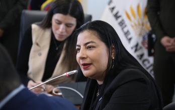 Yuri Colorad, presidenta de la AME, compareció en la Comisión de Desarrollo Económico.