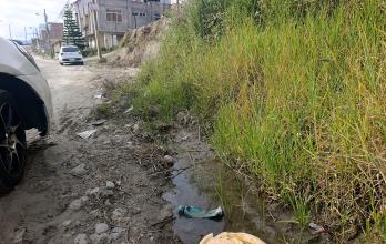 basura en calles de Loja