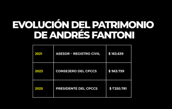 Evolución del patrimonio de Fantoni