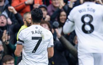 fulham premier league