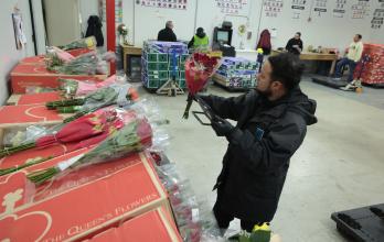 La rosa ecuatoriana tiene botones grandes, tallos largos -se exige un mínimo de 50 centímetros- y colores intensos.