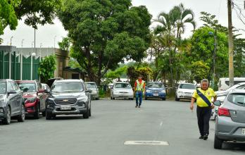 JARDINERAS CON ACCESO