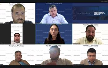 Con ocho votos a favor pasa el informe para el segundo debate del Proyecto de Ley Orgánica para el Fortalecimiento de los Sectores Estratégicos de Minería y Energía.