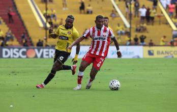 Técnico Universitario