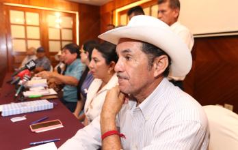 SECTOR AGROPECUARIO D (15976780)