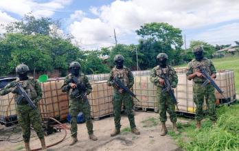 Esta extensión conserva las mismas áreas de aplicación definidas en el decreto previo N.º 277, emitido el 31 de diciembre de 2025.